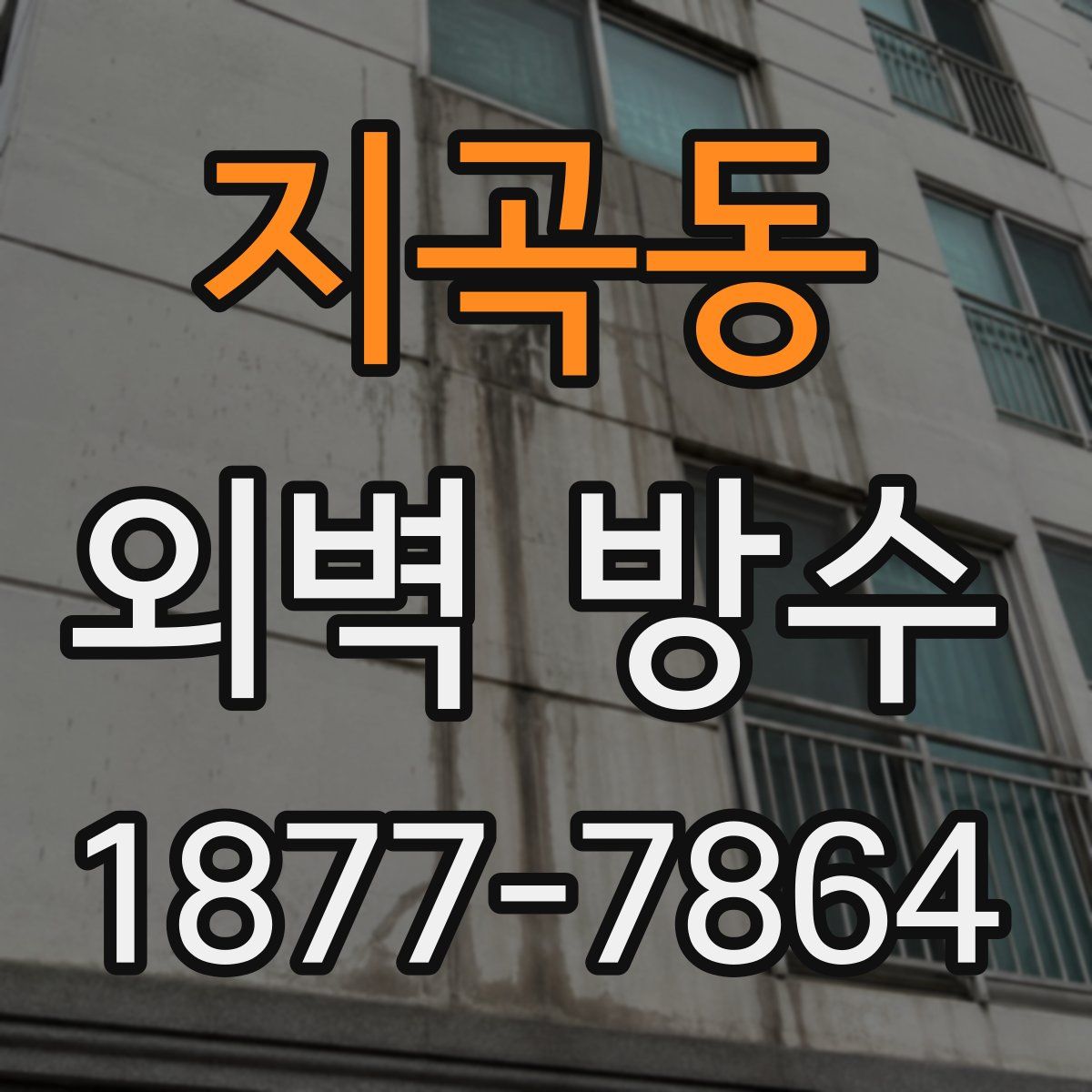 지곡동 외벽 방수