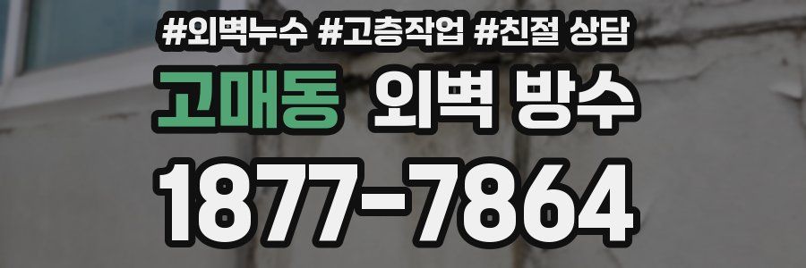 고매동 외벽 방수
