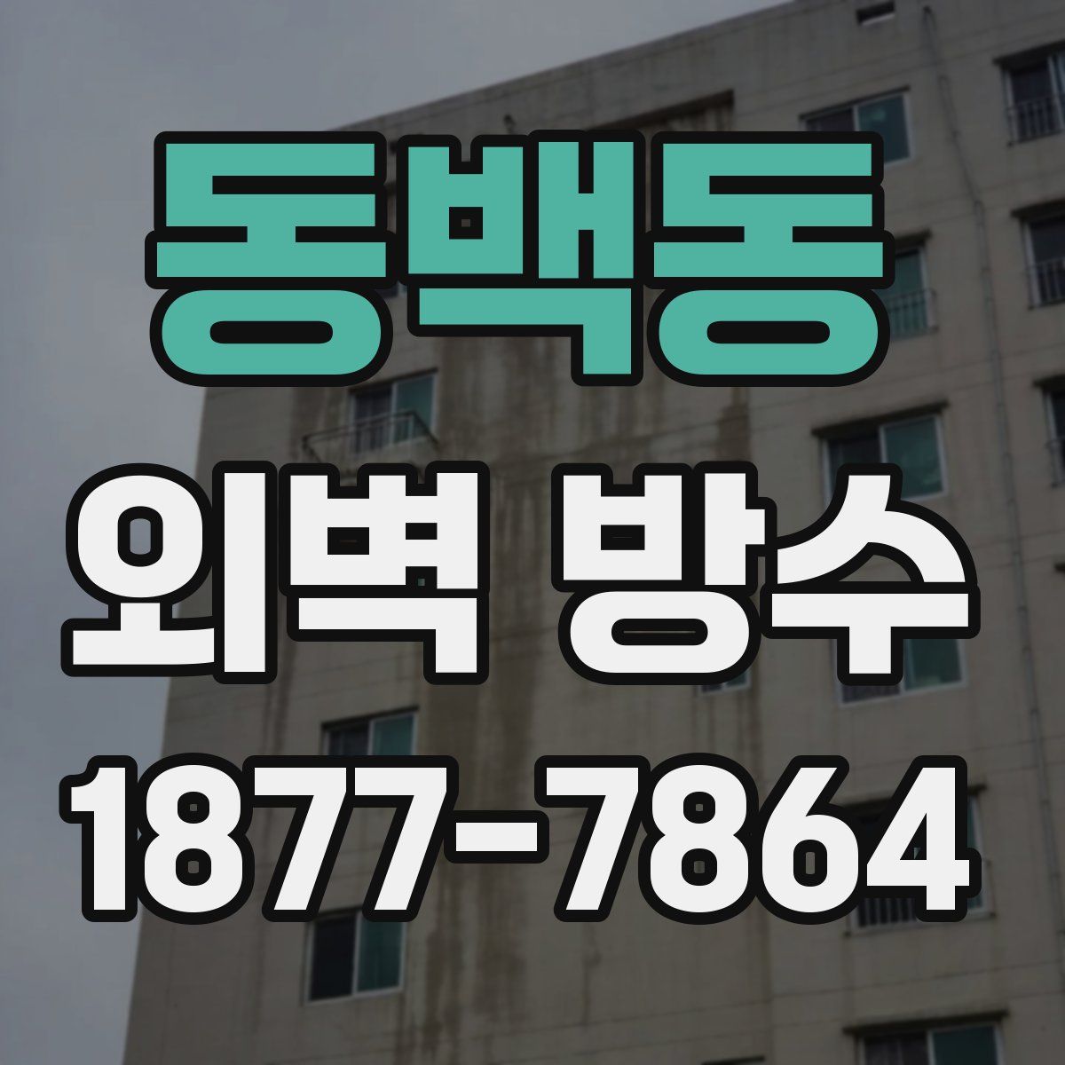동백동 외벽 방수