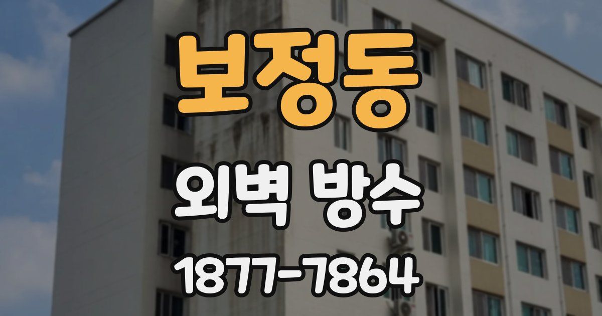 보정동 외벽 방수