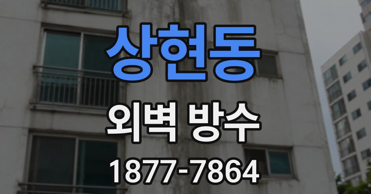 상현동 외벽 방수