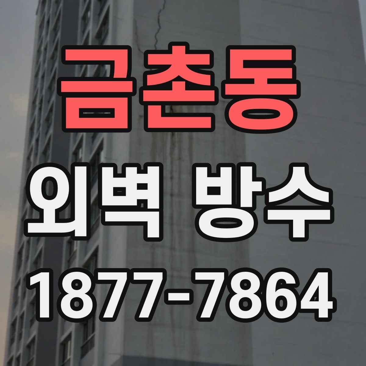 금촌동 외벽 방수
