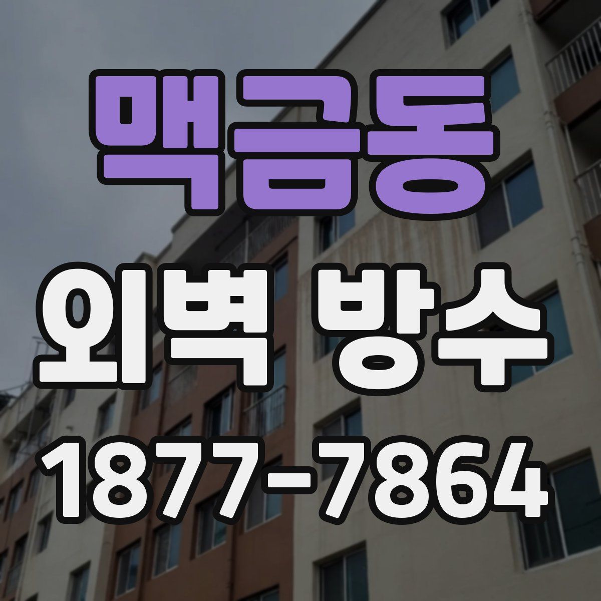 맥금동 외벽 방수