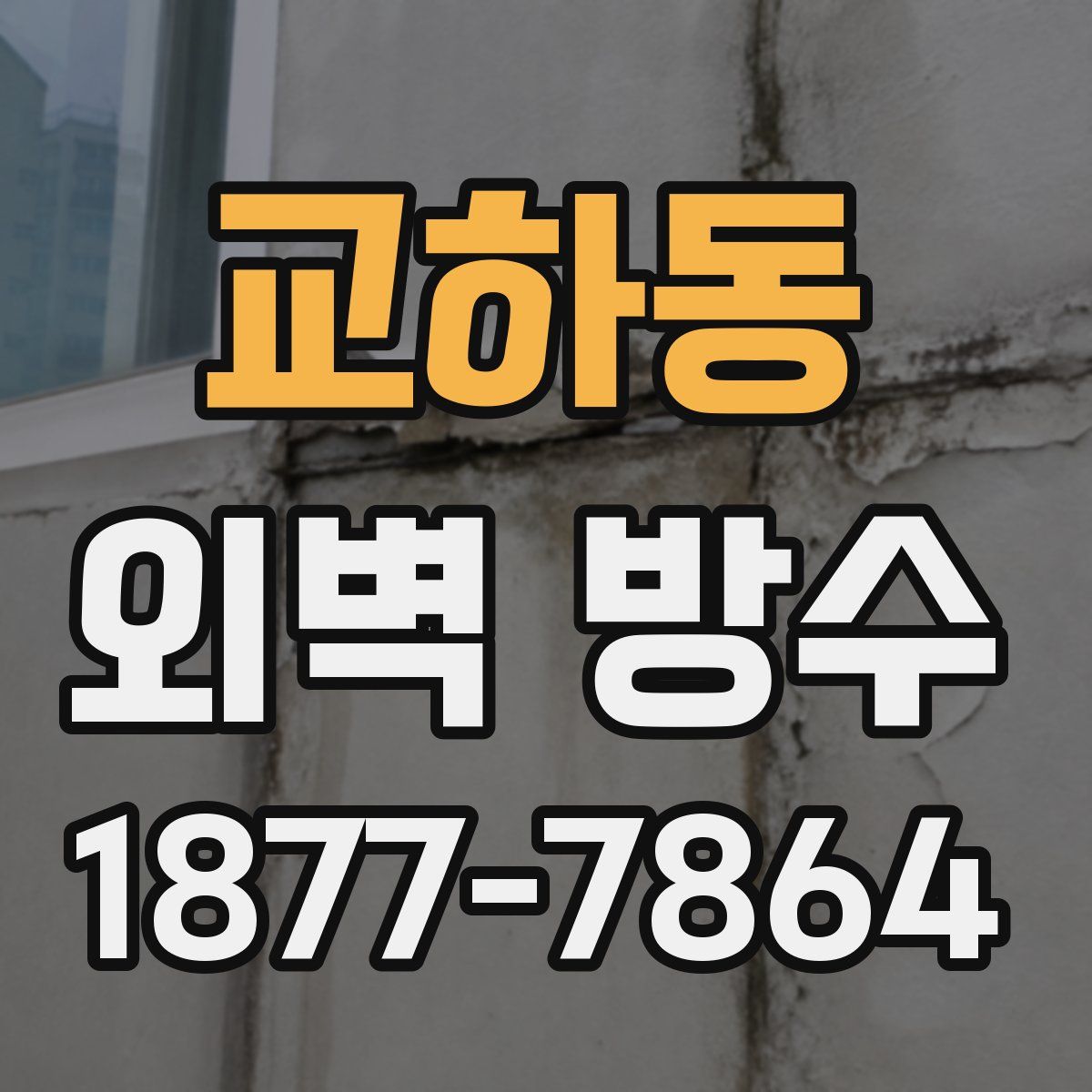 교하동 외벽 방수