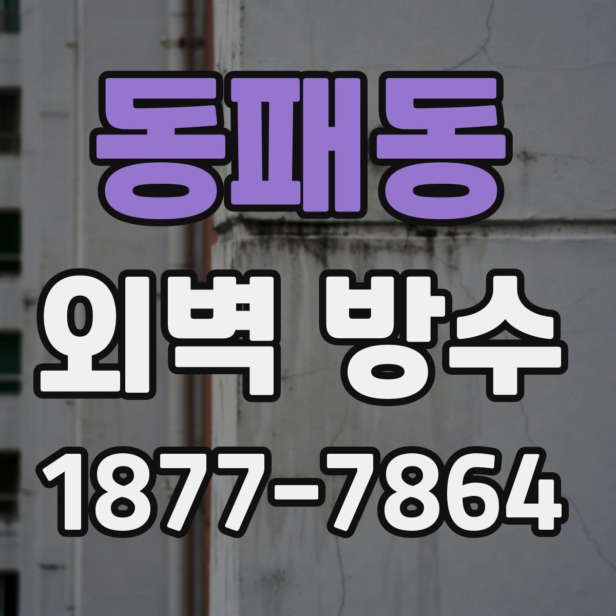 동패동 외벽 방수