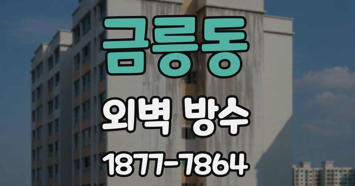 금릉동 외벽 방수