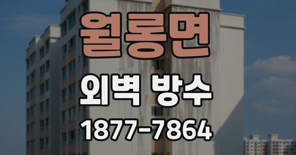월롱면 외벽 방수