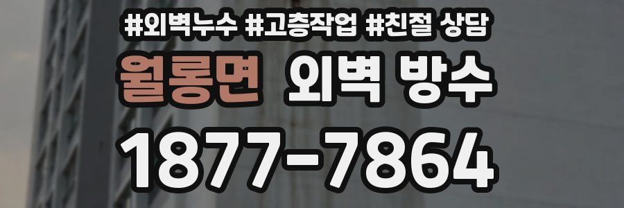 월롱면 외벽 방수