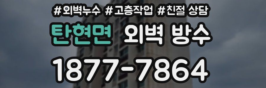 탄현면 외벽 방수