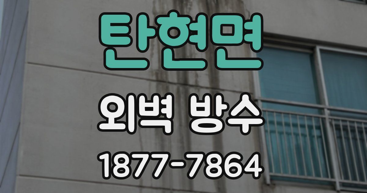 탄현면 외벽 방수
