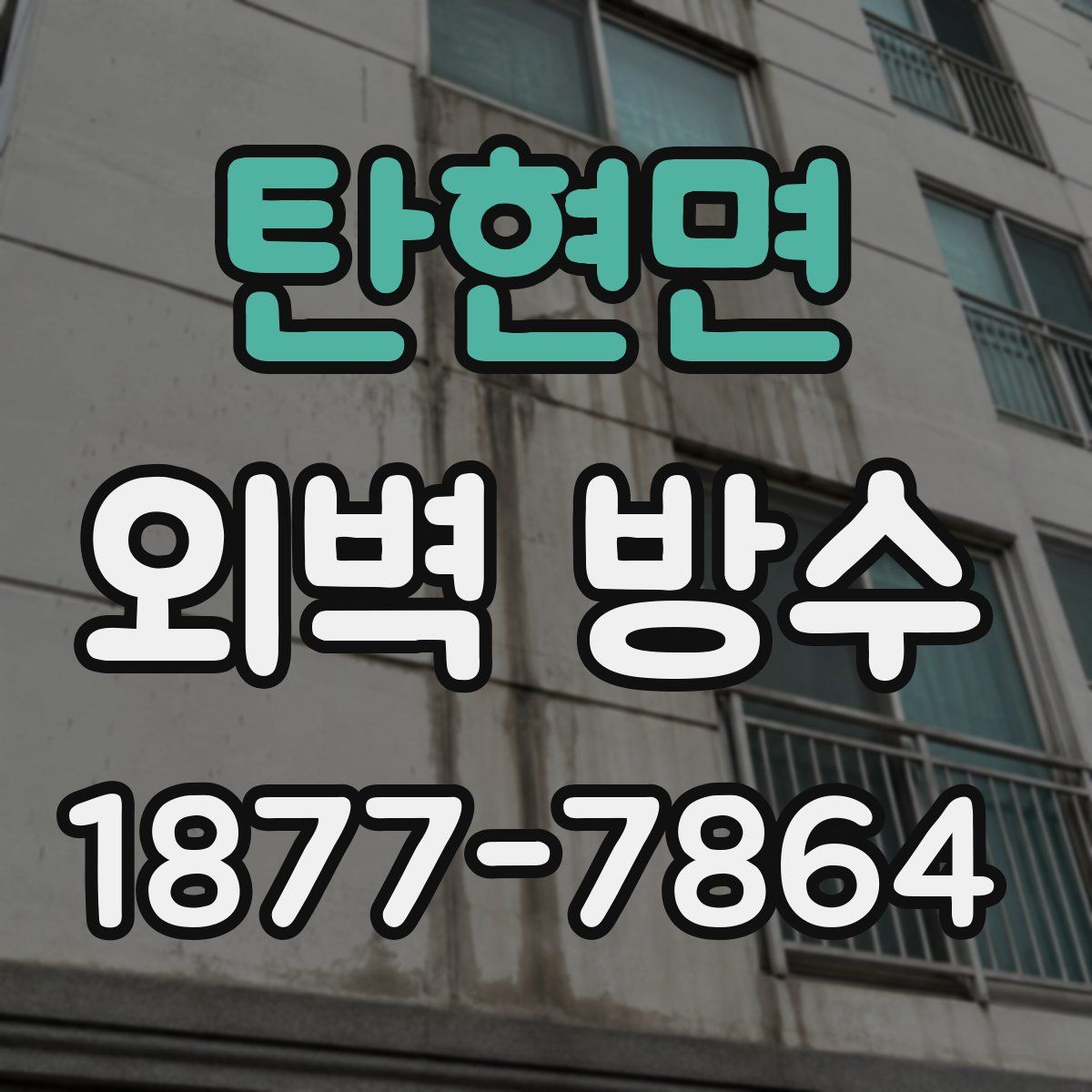 탄현면 외벽 방수