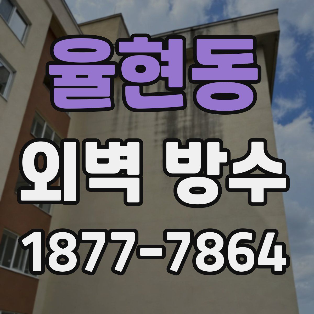율현동 외벽 방수
