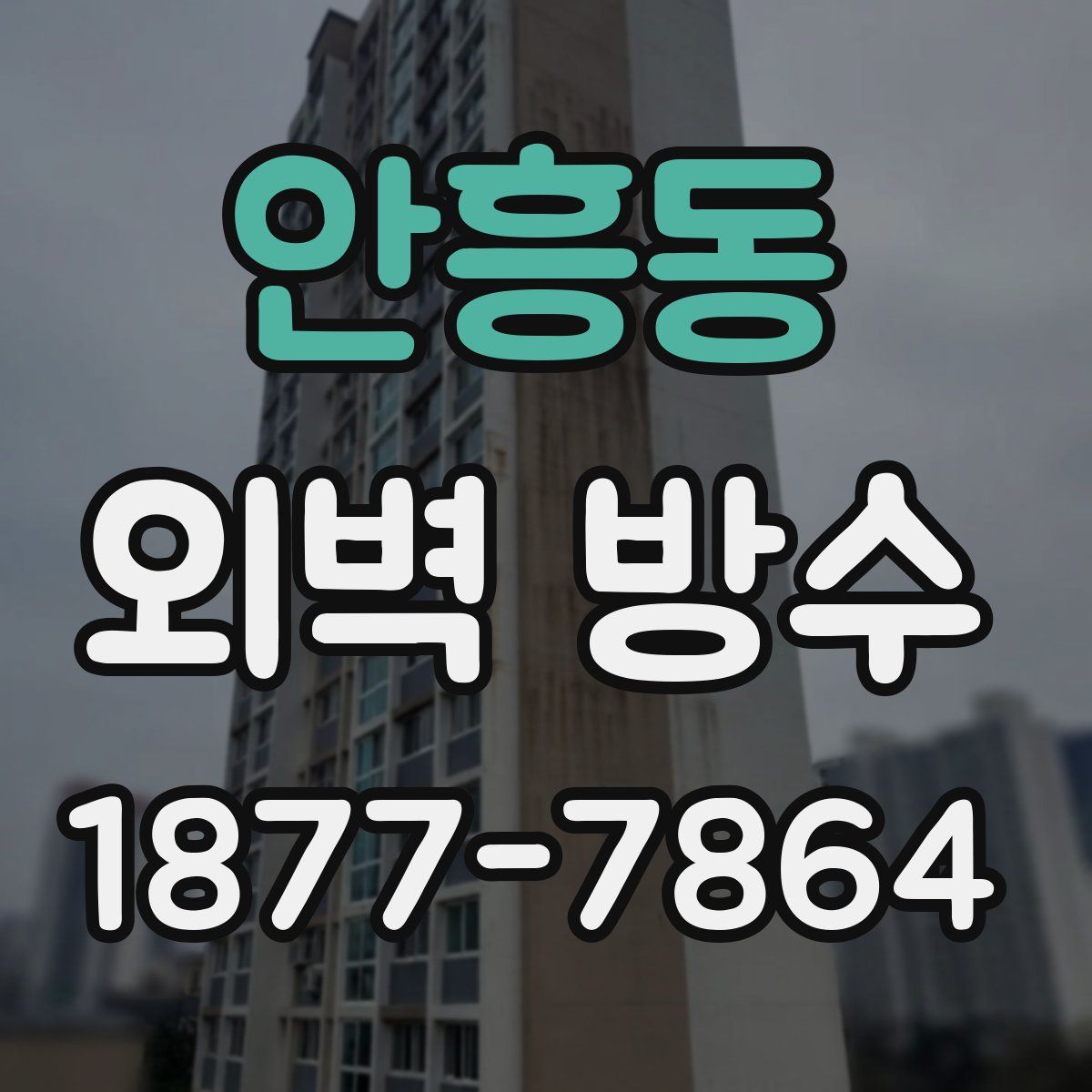 안흥동 외벽 방수