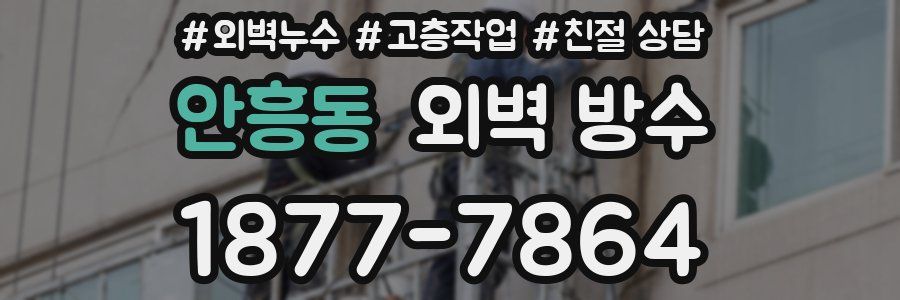 안흥동 외벽 방수