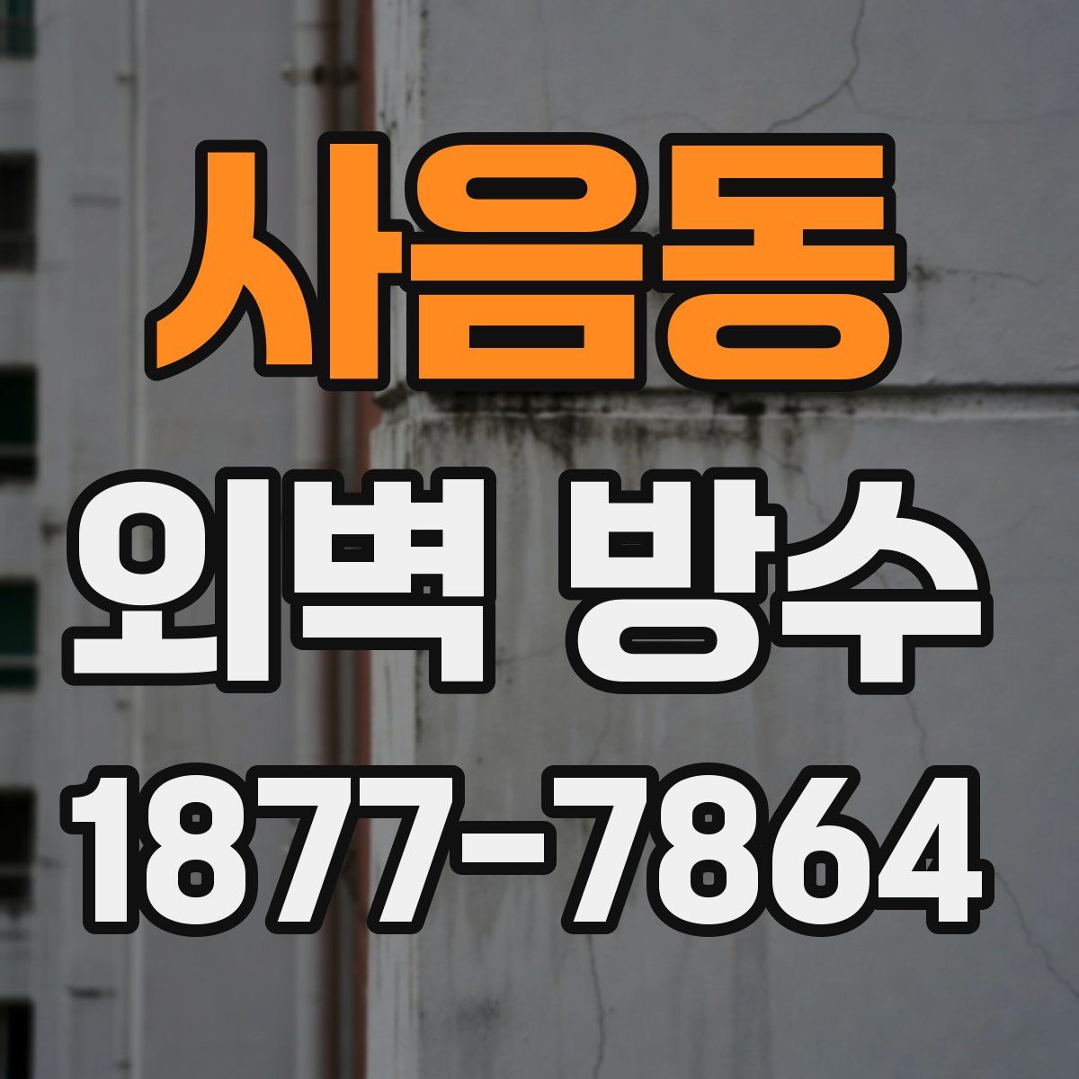 사음동 외벽 방수
