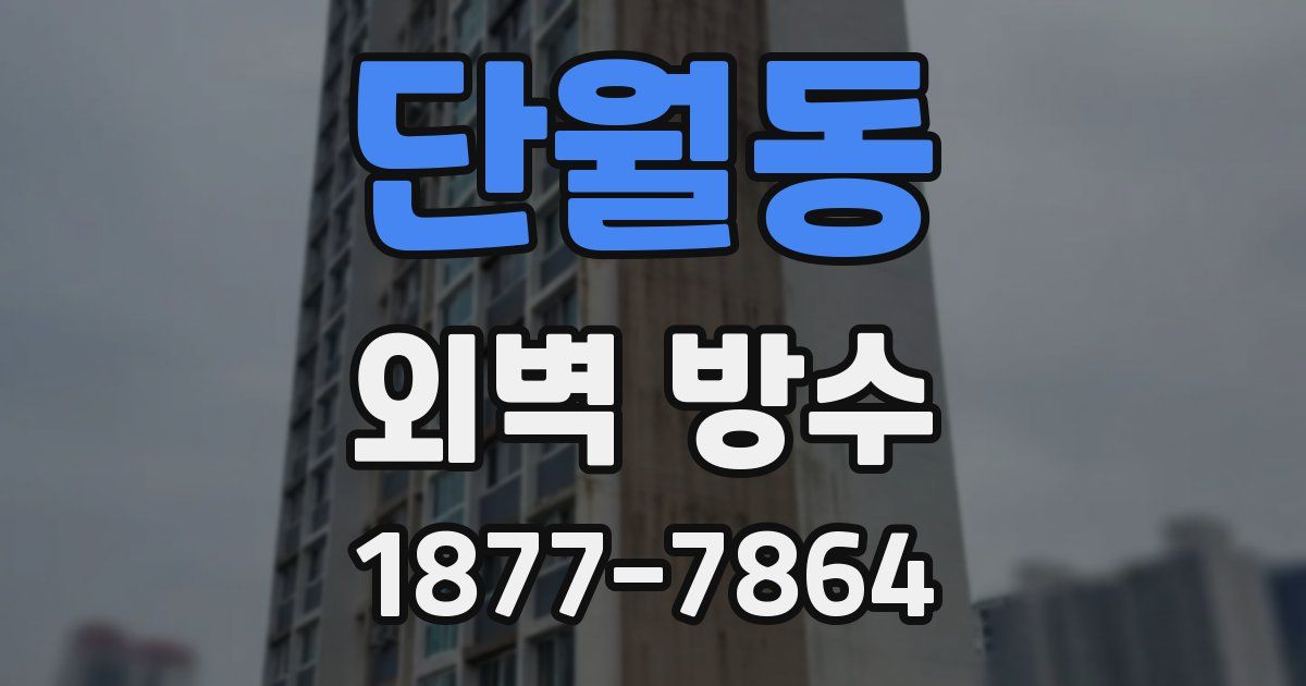 단월동 외벽 방수