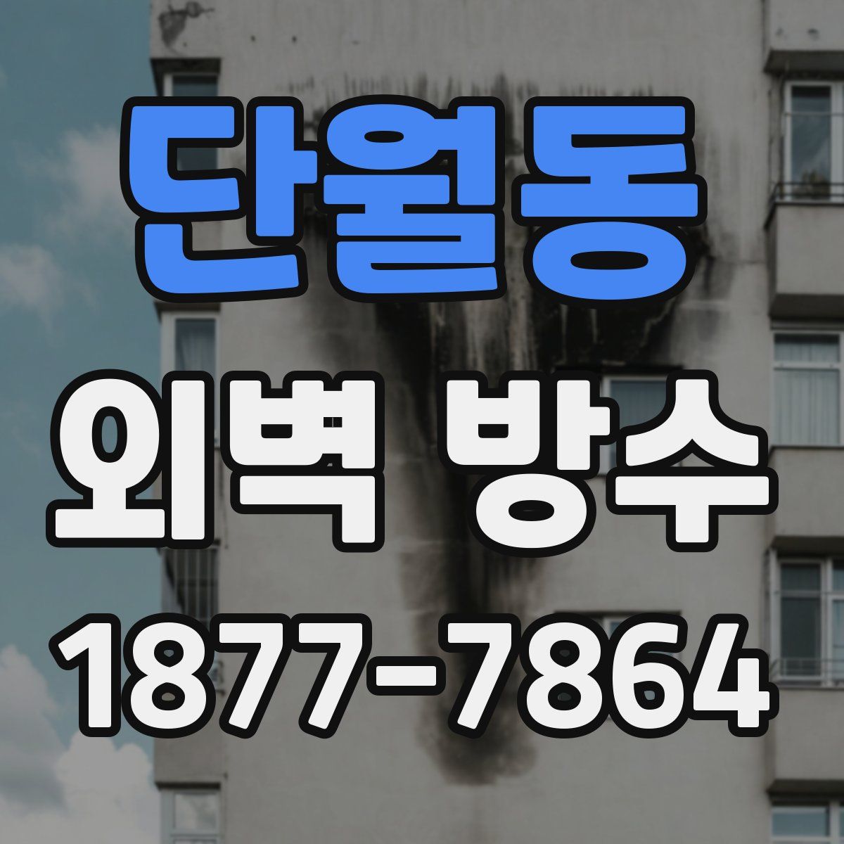 단월동 외벽 방수