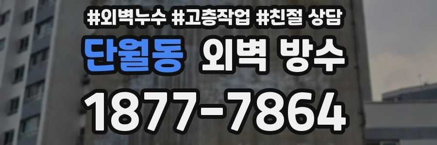 단월동 외벽 방수