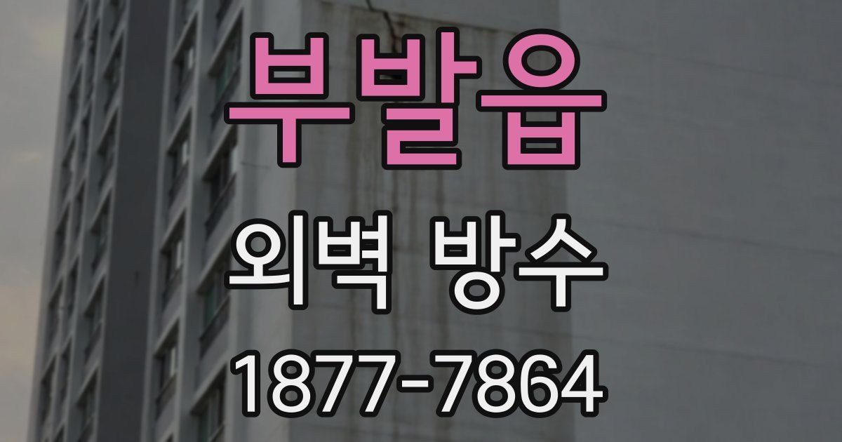 부발읍 외벽 방수