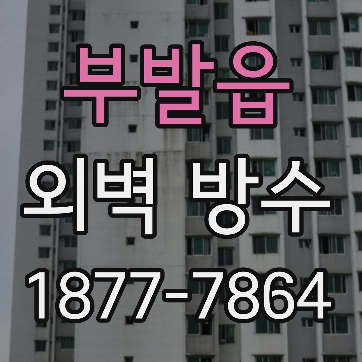부발읍 외벽 방수