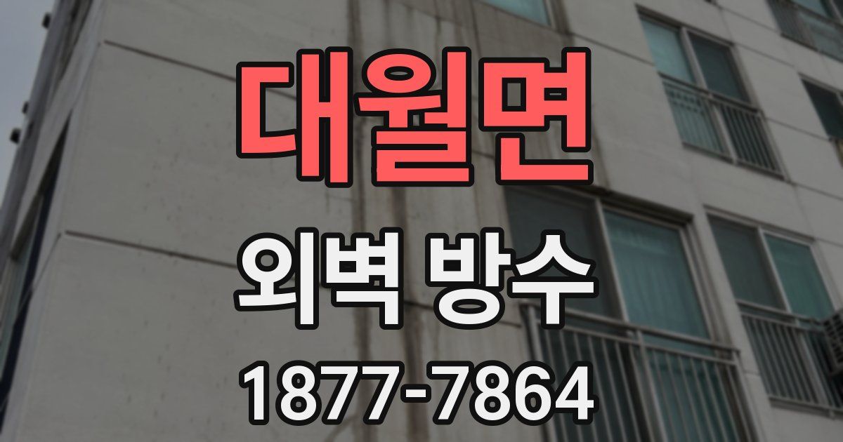 대월면 외벽 방수
