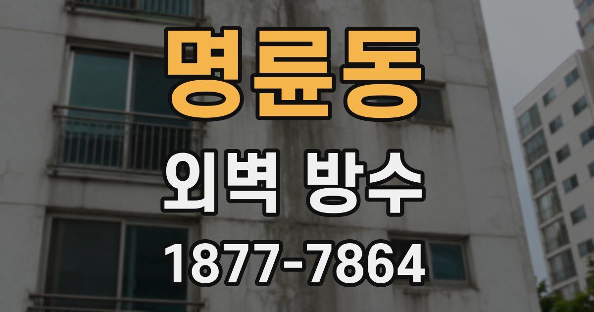 명륜동 외벽 방수