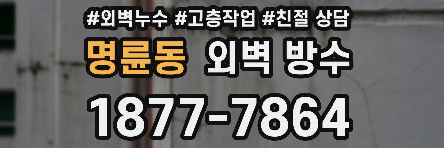 명륜동 외벽 방수