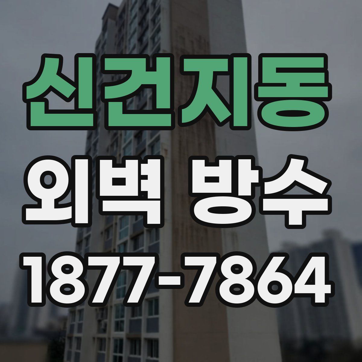 신건지동 외벽 방수