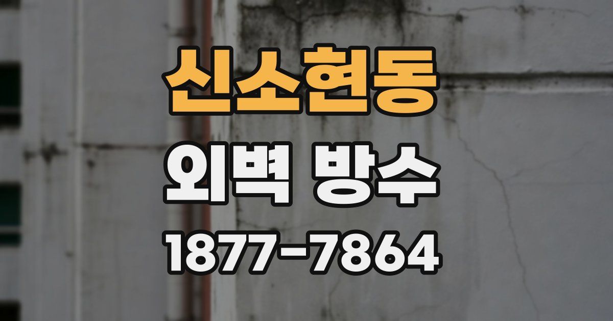 신소현동 외벽 방수