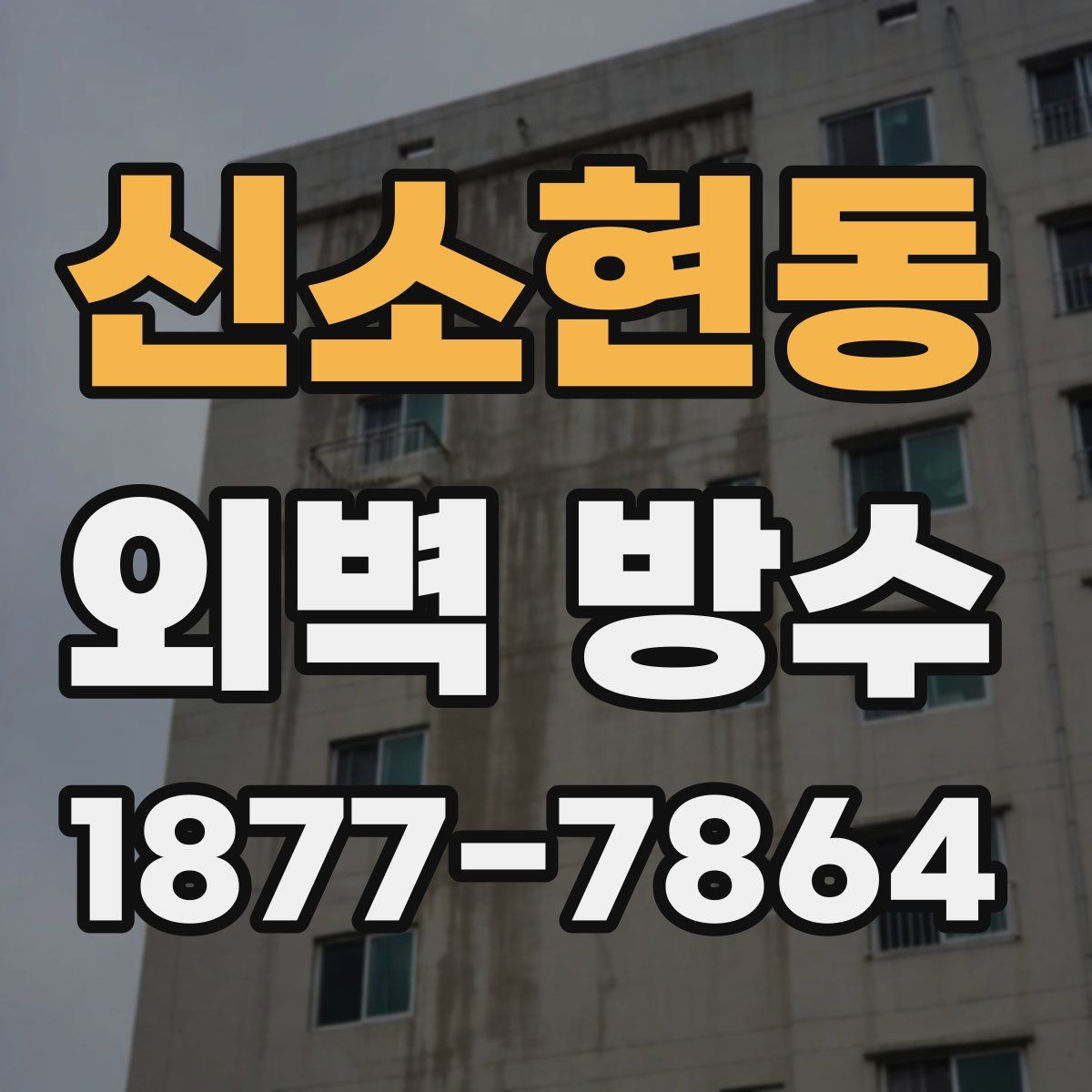 신소현동 외벽 방수