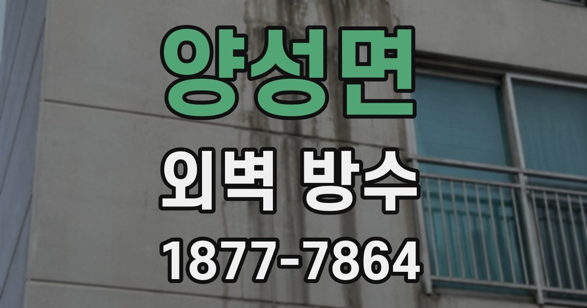양성면 외벽 방수