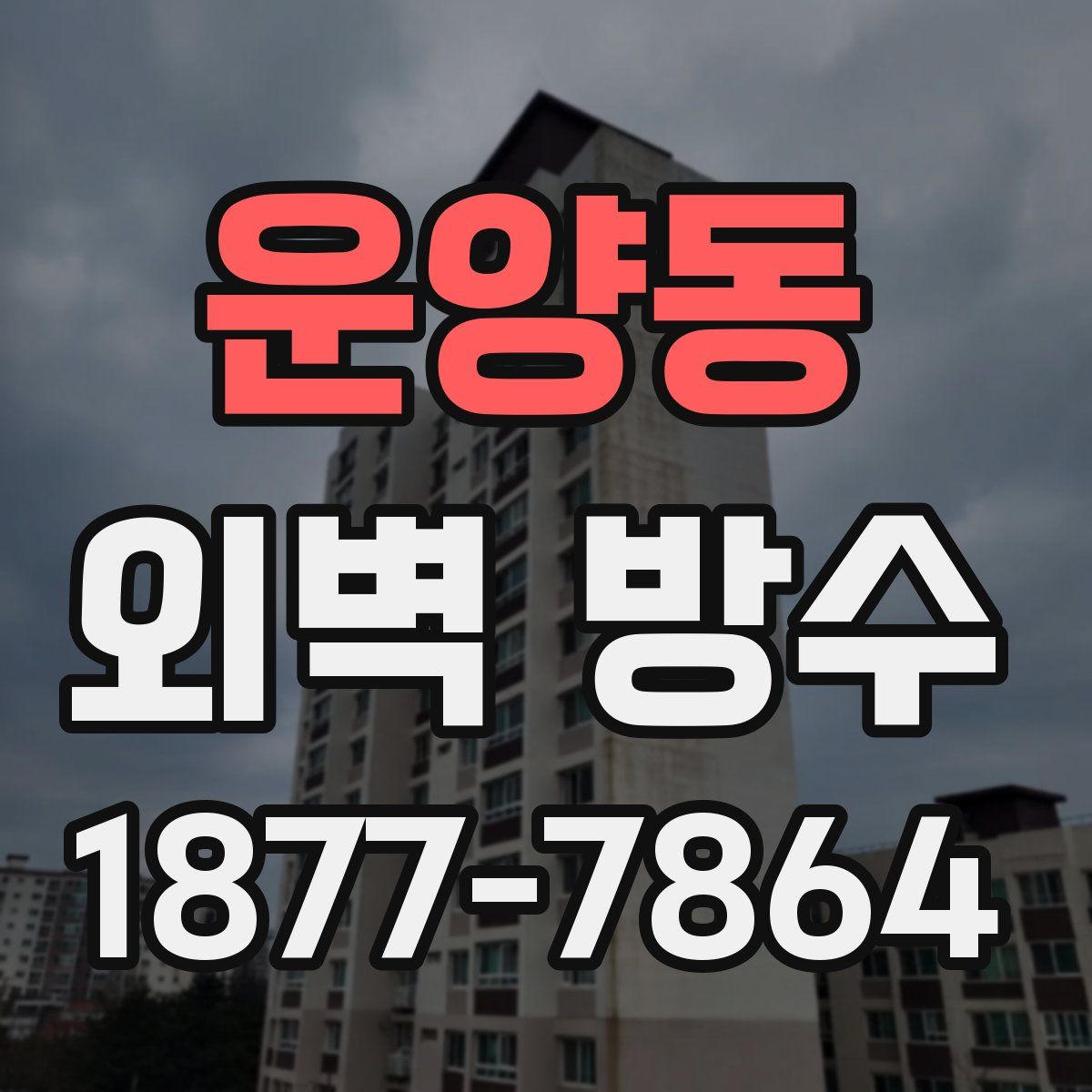 운양동 외벽 방수
