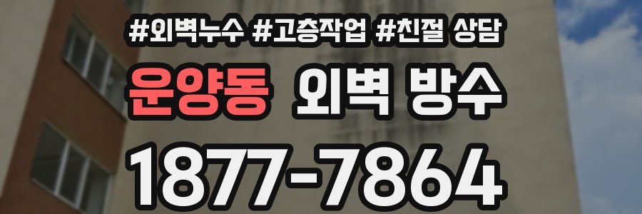 운양동 외벽 방수