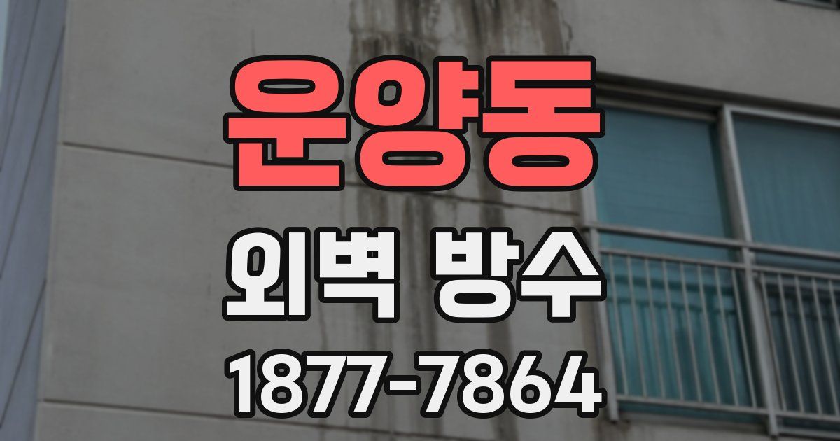 운양동 외벽 방수