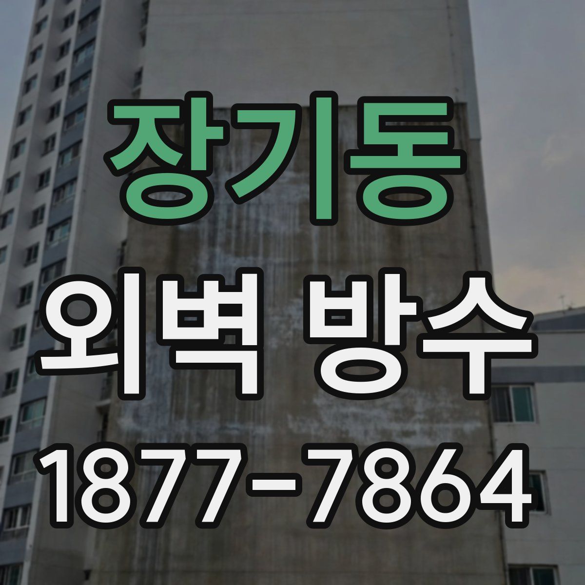 장기동 외벽 방수