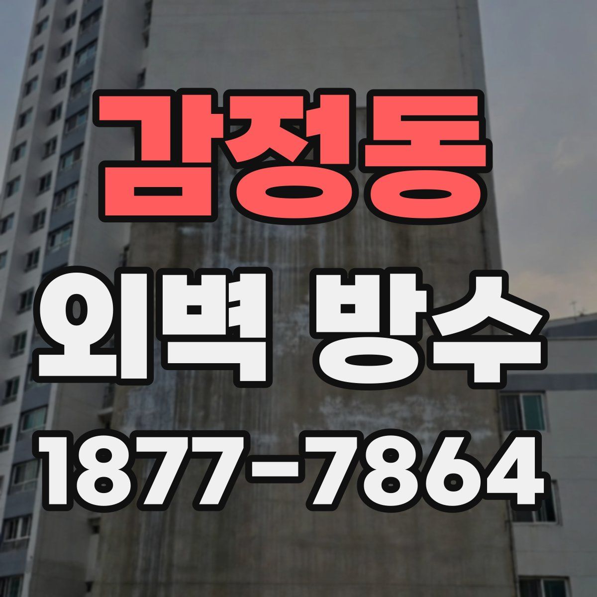 감정동 외벽 방수