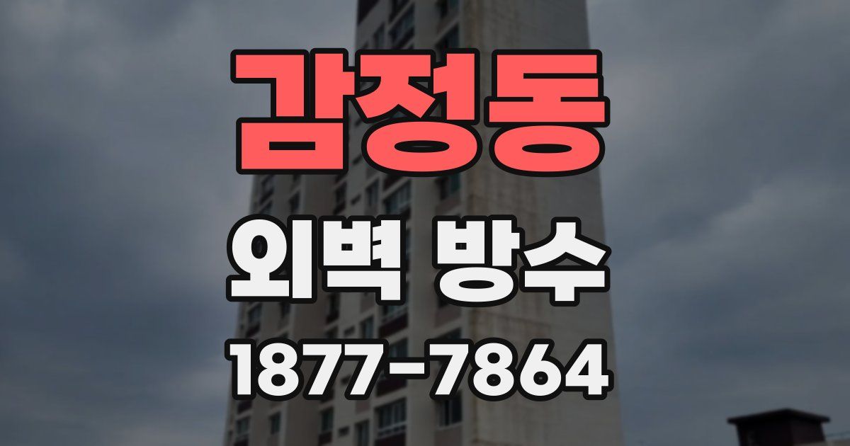 감정동 외벽 방수