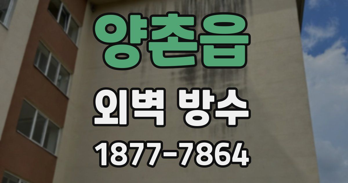 양촌읍 외벽 방수