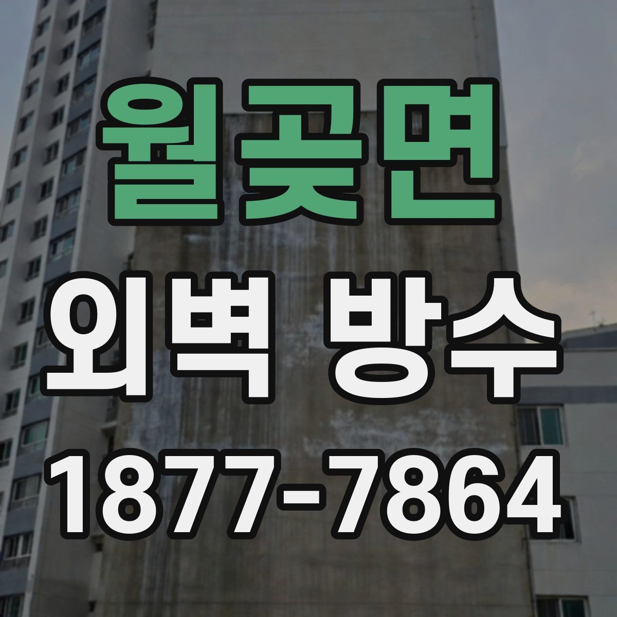 월곶면 외벽 방수