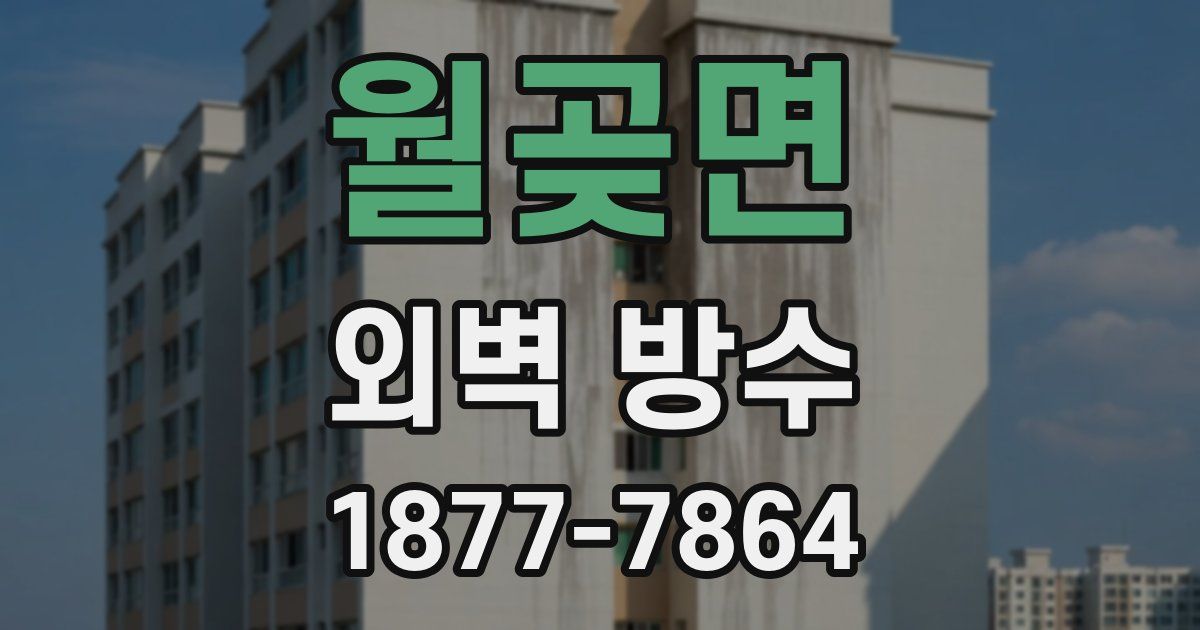 월곶면 외벽 방수