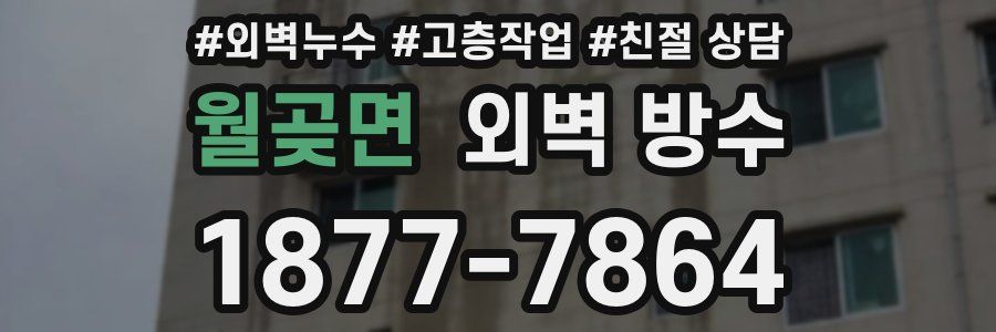 월곶면 외벽 방수