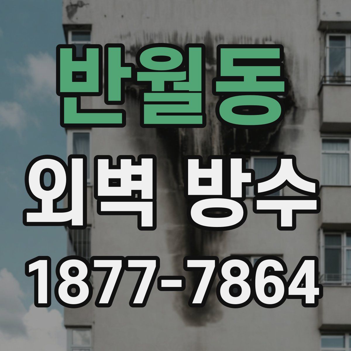 반월동 외벽 방수