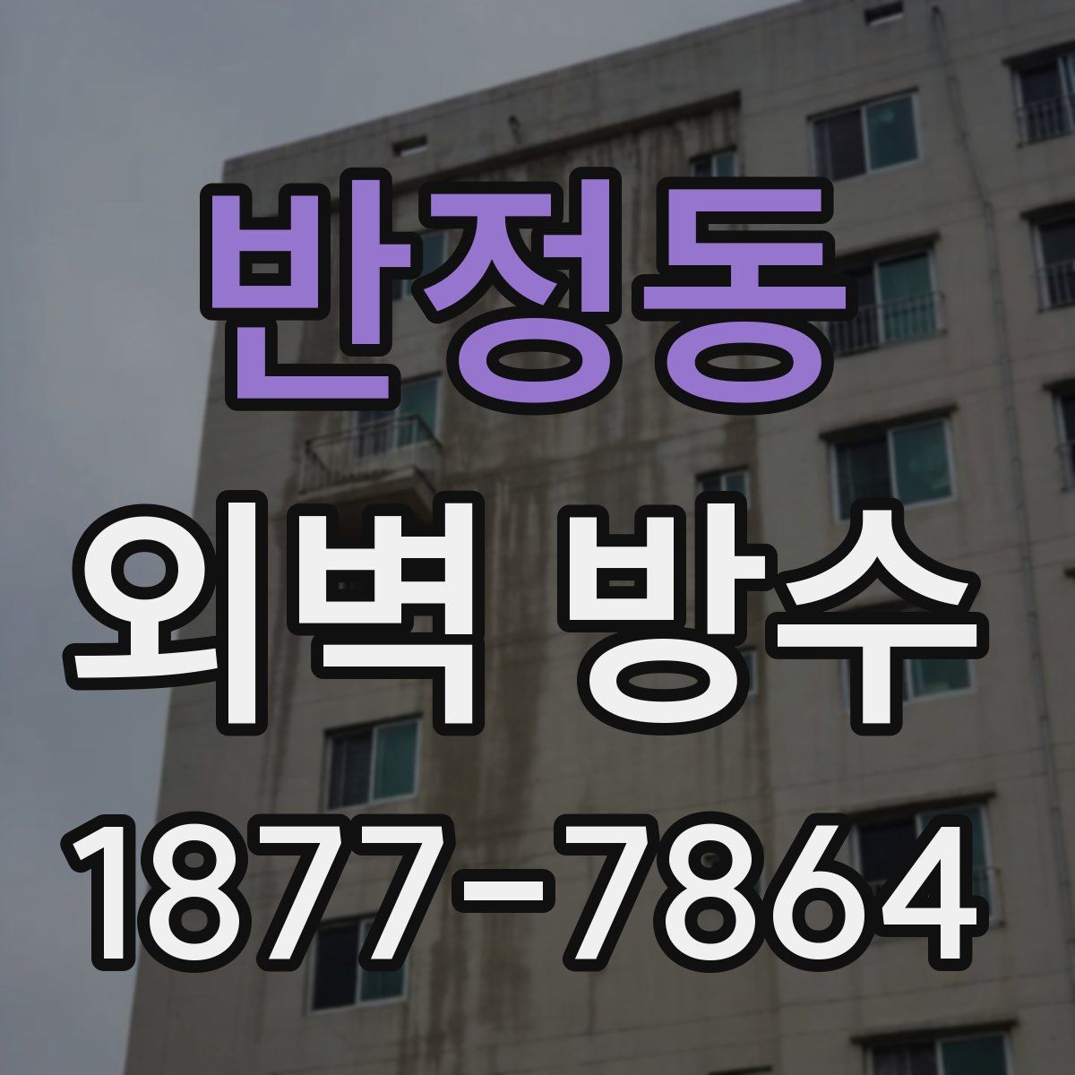 반정동 외벽 방수