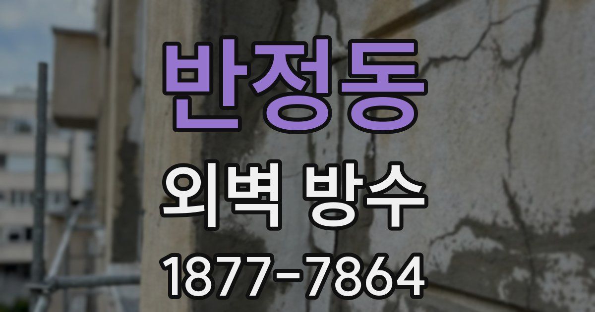 반정동 외벽 방수