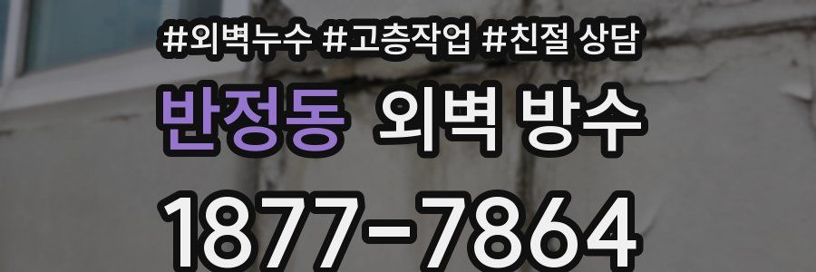 반정동 외벽 방수