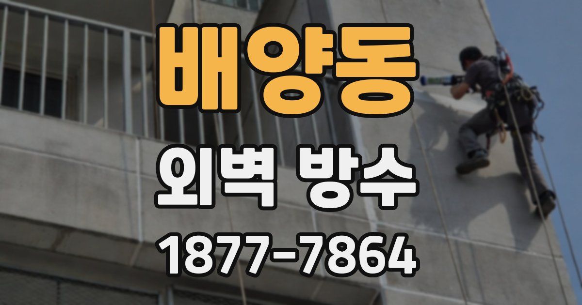 배양동 외벽 방수