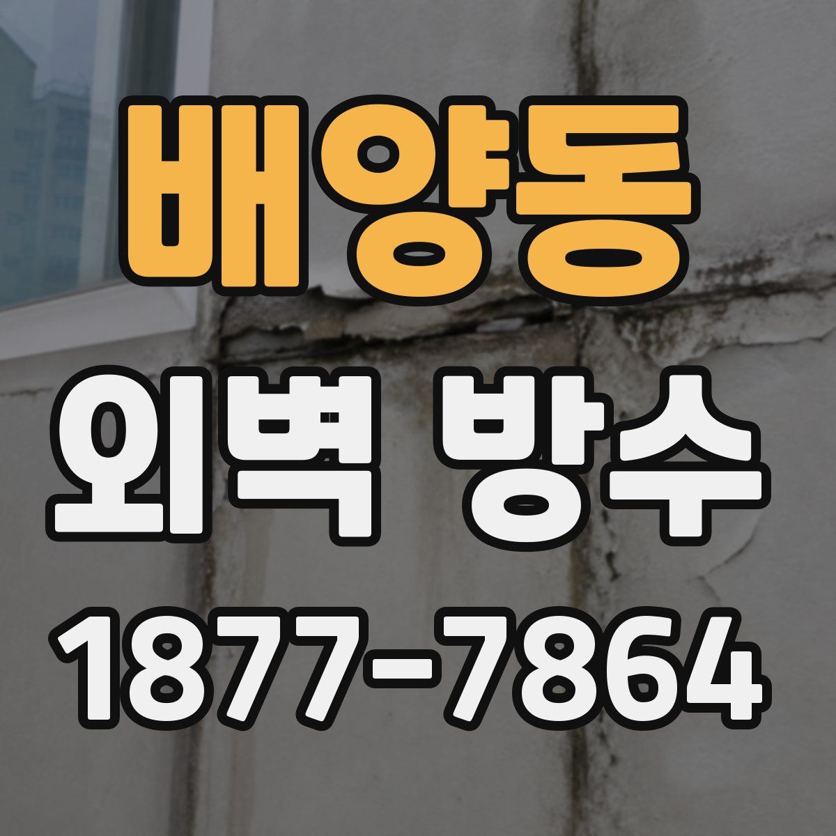 배양동 외벽 방수