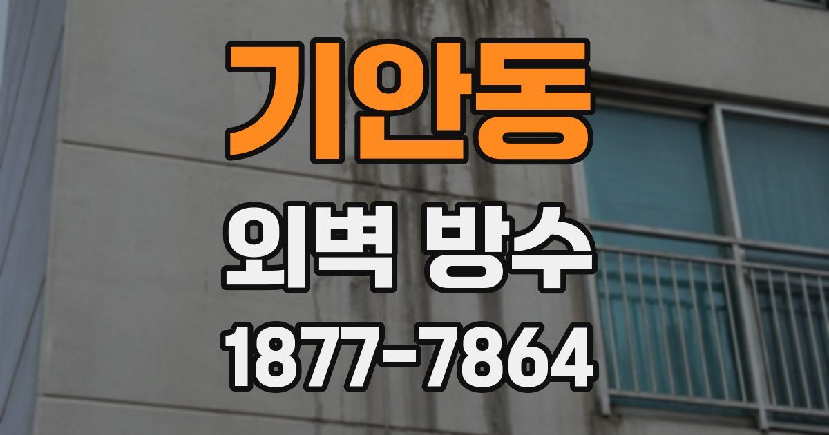 기안동 외벽 방수