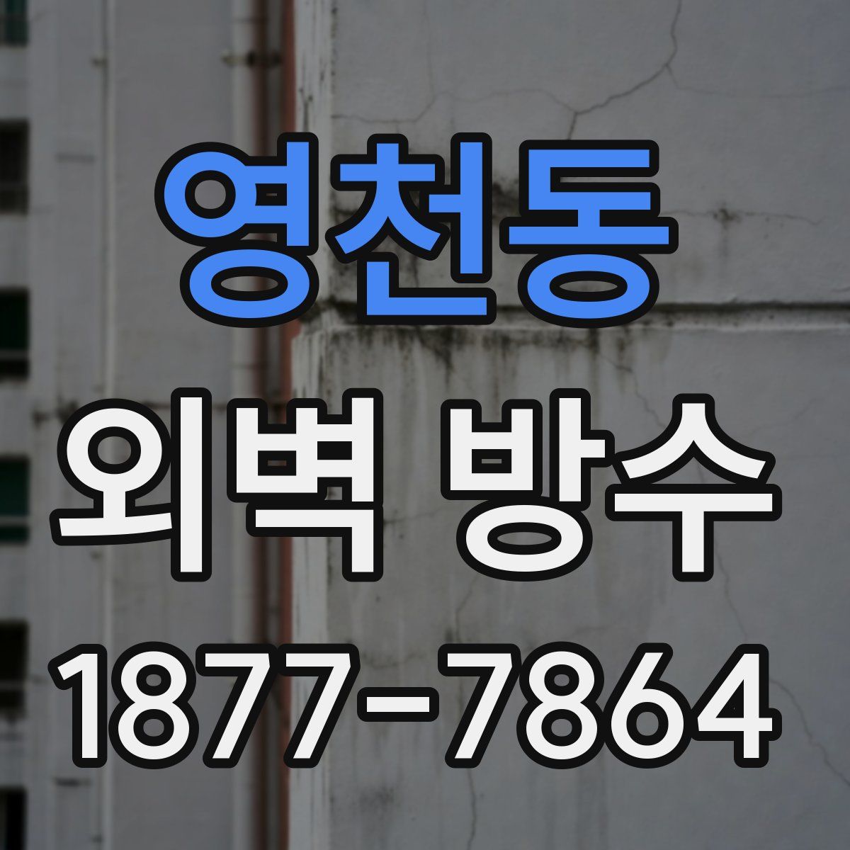 영천동 외벽 방수