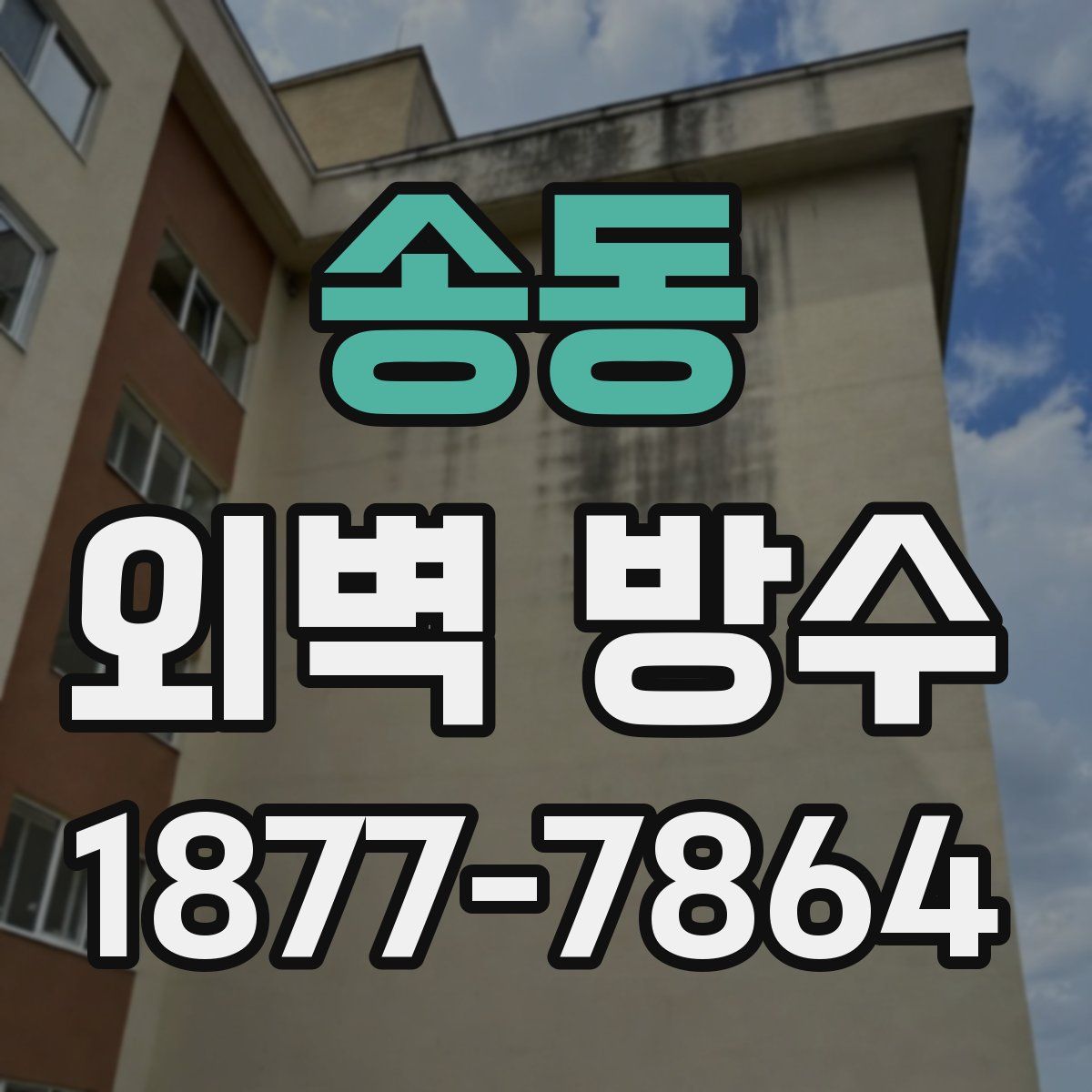 송동 외벽 방수